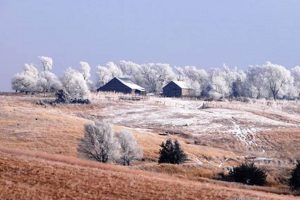 Find Nebraska Farm Land for Sale - [Acres Available] | The Conscious Farmer | Sustainable Agriculture for a Healthier Planet