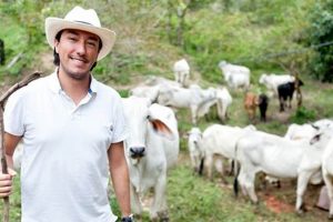 Discover Belize Farms for Sale: Your Tropical Dream | The Conscious Farmer | Sustainable Agriculture for a Healthier Planet