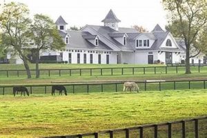 Own Your Dream: Lexington Horse Farms for Sale Today! | The Conscious Farmer | Sustainable Agriculture for a Healthier Planet