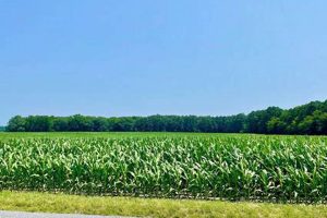 Delaware Farm Land for Sale: Your Agricultural Dream Awaits | The Conscious Farmer | Sustainable Agriculture for a Healthier Planet