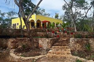 Find Your Dream: Farms for Sale in Mexico, Bargains Await! | The Conscious Farmer | Sustainable Agriculture for a Healthier Planet