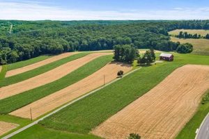 Maryland Farm Land for Sale: Find Your Dream Farm Now! | The Conscious Farmer | Sustainable Agriculture for a Healthier Planet