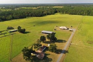 Discover Central Florida Farms for Sale: Your Rural Dream The Conscious Farmer | Sustainable Agriculture for a Healthier Planet Discover Central Florida Farms for Sale: Your Rural Dream | The Conscious Farmer | Sustainable Agriculture for a Healthier Planet