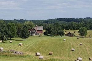 Buy Your Dream: Organic Farm for Sale Today! | The Conscious Farmer | Sustainable Agriculture for a Healthier Planet