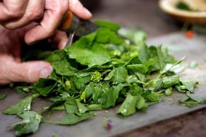 Buy Taylor Farms Salad Kits | Easy & Healthy Meals | The Conscious Farmer | Sustainable Agriculture for a Healthier Planet