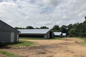 Find Your Mississippi Farm for Sale Today! | The Conscious Farmer | Sustainable Agriculture for a Healthier Planet