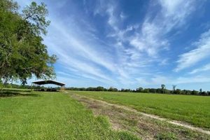 Find Florida Farms for Sale: Your Land Awaits! | The Conscious Farmer | Sustainable Agriculture for a Healthier Planet