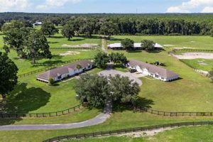 Find Horse Farms for Sale in Ocala, FL - Dream Farms Await! | The Conscious Farmer | Sustainable Agriculture for a Healthier Planet