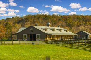 Find SC Horse Farms for Sale | Equestrian Properties | The Conscious Farmer | Sustainable Agriculture for a Healthier Planet