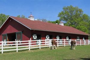 Wisconsin Horse Farms for Sale: Your Dream Awaits! | The Conscious Farmer | Sustainable Agriculture for a Healthier Planet