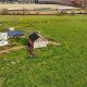 Find Your Farm for Sale in CT Today! (Deals) | The Conscious Farmer | Sustainable Agriculture for a Healthier Planet