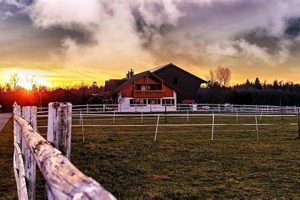 Find Knoxville Farms for Sale: Your Land Awaits! | The Conscious Farmer | Sustainable Agriculture for a Healthier Planet