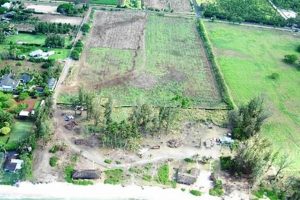 Oahu Farms: Find Your Dream Farm Land for Sale on Oahu Today! | The Conscious Farmer | Sustainable Agriculture for a Healthier Planet
