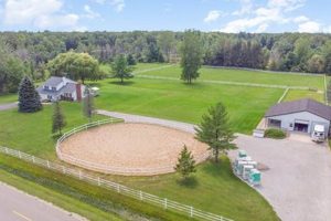 Michigan Horse Farms for Sale: Your Dream Awaits! | The Conscious Farmer | Sustainable Agriculture for a Healthier Planet