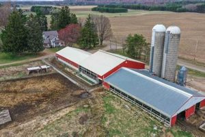Wisconsin Dairy Farms for Sale: Find Your Dream Farm! | The Conscious Farmer | Sustainable Agriculture for a Healthier Planet