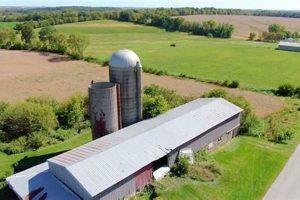 Find Your Dodge County Farms for Sale Dream Land | The Conscious Farmer | Sustainable Agriculture for a Healthier Planet