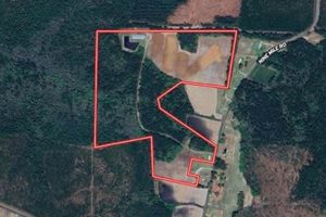 NC Hog Farms: Find Your Swine Production Property For Sale | The Conscious Farmer | Sustainable Agriculture for a Healthier Planet