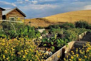 Dream Mini Farm for Sale: Your Sustainable Oasis Awaits | The Conscious Farmer | Sustainable Agriculture for a Healthier Planet