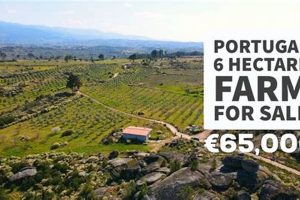 Find Your Dream Farms for Sale in Portugal Today! The Conscious Farmer | Sustainable Agriculture for a Healthier Planet Find Your Dream Farms for Sale in Portugal Today! | The Conscious Farmer | Sustainable Agriculture for a Healthier Planet