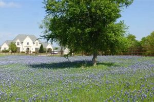 Texas Farms for Sale: Find Dallas Area Farms Today! | The Conscious Farmer | Sustainable Agriculture for a Healthier Planet