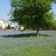 Texas Farms for Sale: Find Dallas Area Farms Today! | The Conscious Farmer | Sustainable Agriculture for a Healthier Planet