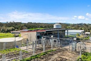 Find Your Dairy Farms for Sale Today! | The Conscious Farmer | Sustainable Agriculture for a Healthier Planet