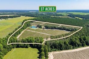 Discover Your Blueberry Farm for Sale Today! | The Conscious Farmer | Sustainable Agriculture for a Healthier Planet