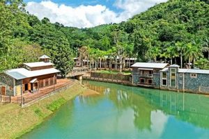 Explore Puerto Rico Farms for Sale: Your Island Dream Awaits | The Conscious Farmer | Sustainable Agriculture for a Healthier Planet