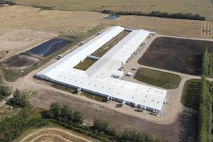 Buy Hog Farms for Sale: Your Farm Awaits! | The Conscious Farmer | Sustainable Agriculture for a Healthier Planet