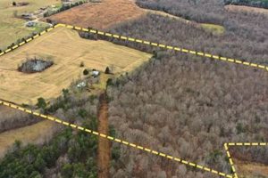Find Your Central KY Farm Tillable Acres For Sale Today! The Conscious Farmer | Sustainable Agriculture for a Healthier Planet Find Your Central KY Farm Tillable Acres For Sale Today! | The Conscious Farmer | Sustainable Agriculture for a Healthier Planet