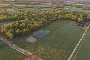 Discover Pike County MO Farms for Sale | Local Guide | The Conscious Farmer | Sustainable Agriculture for a Healthier Planet