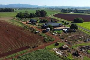Buy Avocado Farm for Sale Now - Prime Land! | The Conscious Farmer | Sustainable Agriculture for a Healthier Planet