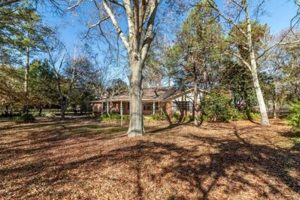 Buy South Georgia Farm Land + Deals! | The Conscious Farmer | Sustainable Agriculture for a Healthier Planet