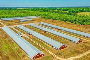 Find NC Poultry Farms for Sale - [Updated Deals] | The Conscious Farmer | Sustainable Agriculture for a Healthier Planet