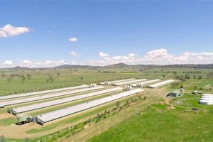 Buy Profitable Poultry Farms for Sale Near You! | The Conscious Farmer | Sustainable Agriculture for a Healthier Planet