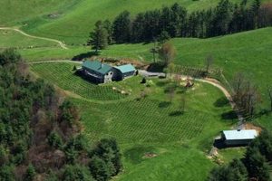 NC Mountain Farms for Sale: Your Rural Dream Awaits! | The Conscious Farmer | Sustainable Agriculture for a Healthier Planet