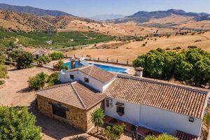 Discover Your Farm for Sale in Spain - Ideal Land Awaits! | The Conscious Farmer | Sustainable Agriculture for a Healthier Planet