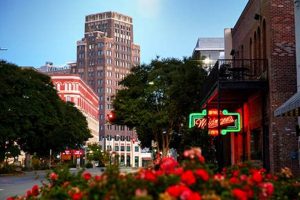 Meridian MS Farm Bureau: Local Ag Resources & More! | The Conscious Farmer | Sustainable Agriculture for a Healthier Planet