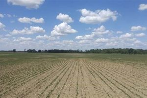 Ohio Farm Land for Sale: Your Dream Farm Awaits! | The Conscious Farmer | Sustainable Agriculture for a Healthier Planet