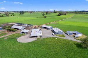 Find Your Dream Farms for Sale in NZ Today! | The Conscious Farmer | Sustainable Agriculture for a Healthier Planet