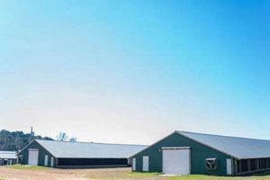 Find Premier Louisiana Farms for Sale Near You! | The Conscious Farmer | Sustainable Agriculture for a Healthier Planet