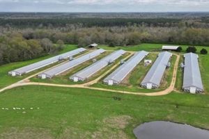 Mississippi Poultry Farms for Sale: Your Next Venture | The Conscious Farmer | Sustainable Agriculture for a Healthier Planet