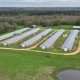 Mississippi Poultry Farms for Sale: Your Next Venture | The Conscious Farmer | Sustainable Agriculture for a Healthier Planet