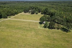 Find Your Dream: Louisiana Farms for Sale Today! | The Conscious Farmer | Sustainable Agriculture for a Healthier Planet