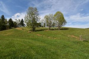 NC Farmland: Prime Farm Land for Sale in NC Today! | The Conscious Farmer | Sustainable Agriculture for a Healthier Planet