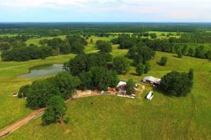 Discover Arkansas Farm Land for Sale: Your Rural Dream | The Conscious Farmer | Sustainable Agriculture for a Healthier Planet