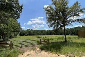 Find Your Farm: Farms for Sale Baldwin County, AL [Updated] | The Conscious Farmer | Sustainable Agriculture for a Healthier Planet