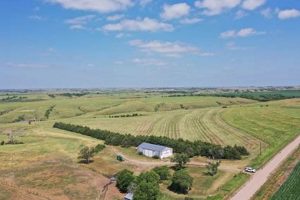 Find Nebraska Farms for Sale: Your Land Awaits! | The Conscious Farmer | Sustainable Agriculture for a Healthier Planet