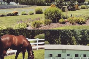Discover Long Island Farms for Sale: Your Dream Farm Awaits! | The Conscious Farmer | Sustainable Agriculture for a Healthier Planet