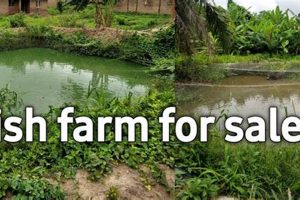 Buy a Fishing Farm for Sale: Farms for Sale Now! | The Conscious Farmer | Sustainable Agriculture for a Healthier Planet